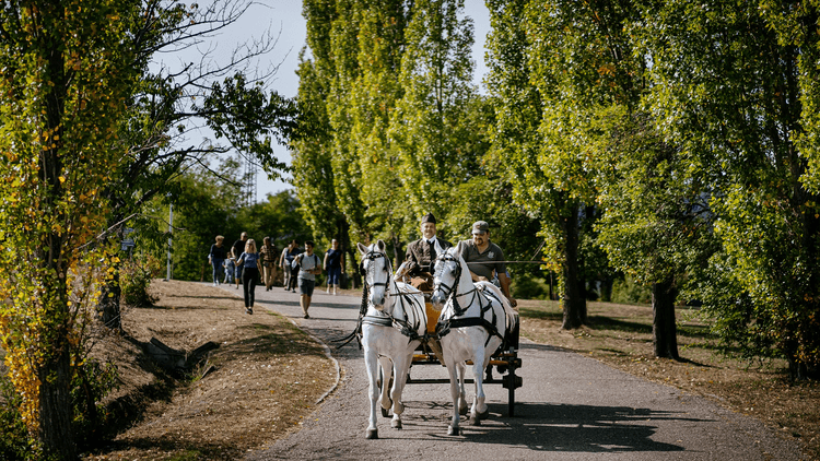 Fogyatékosággal élőknek